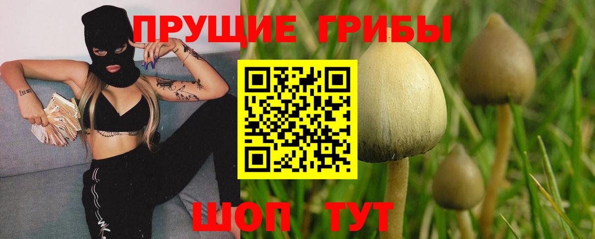 Псилоцибиновые грибы мухоморы Кохма