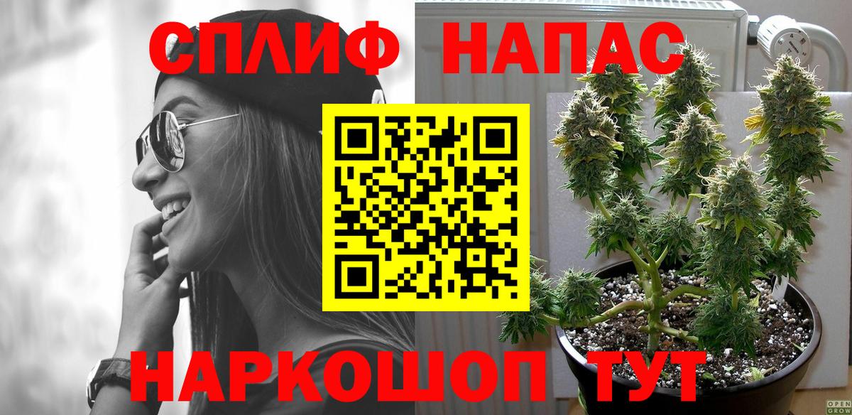 Кохма  Канабис Amnesia  Бошки марихуана Amnesia  Вход с VPN  Бошки Шишки план 
